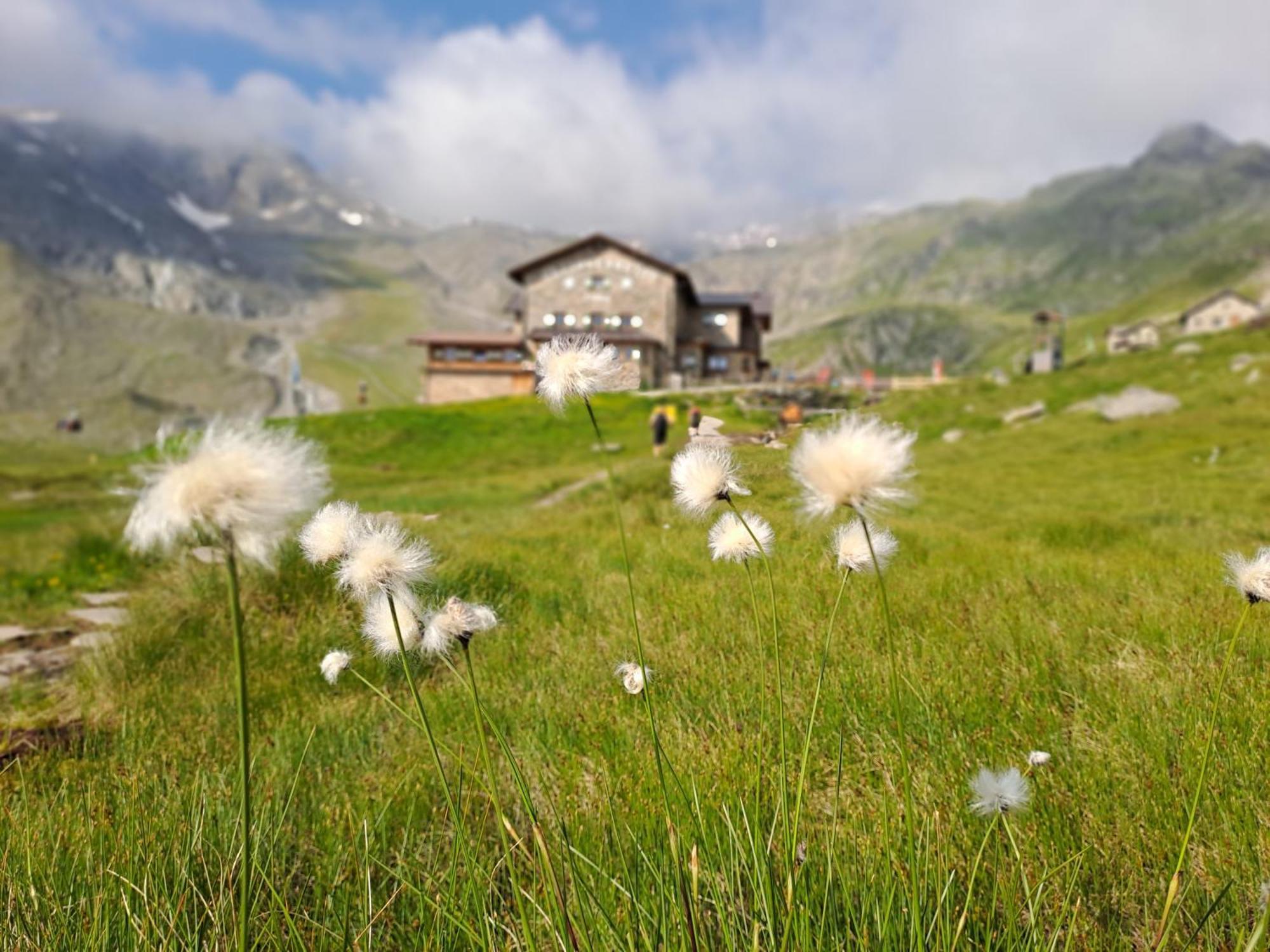 Ferienwohnung Jakob-Adults Only Neustift im Stubaital Exteriér fotografie
