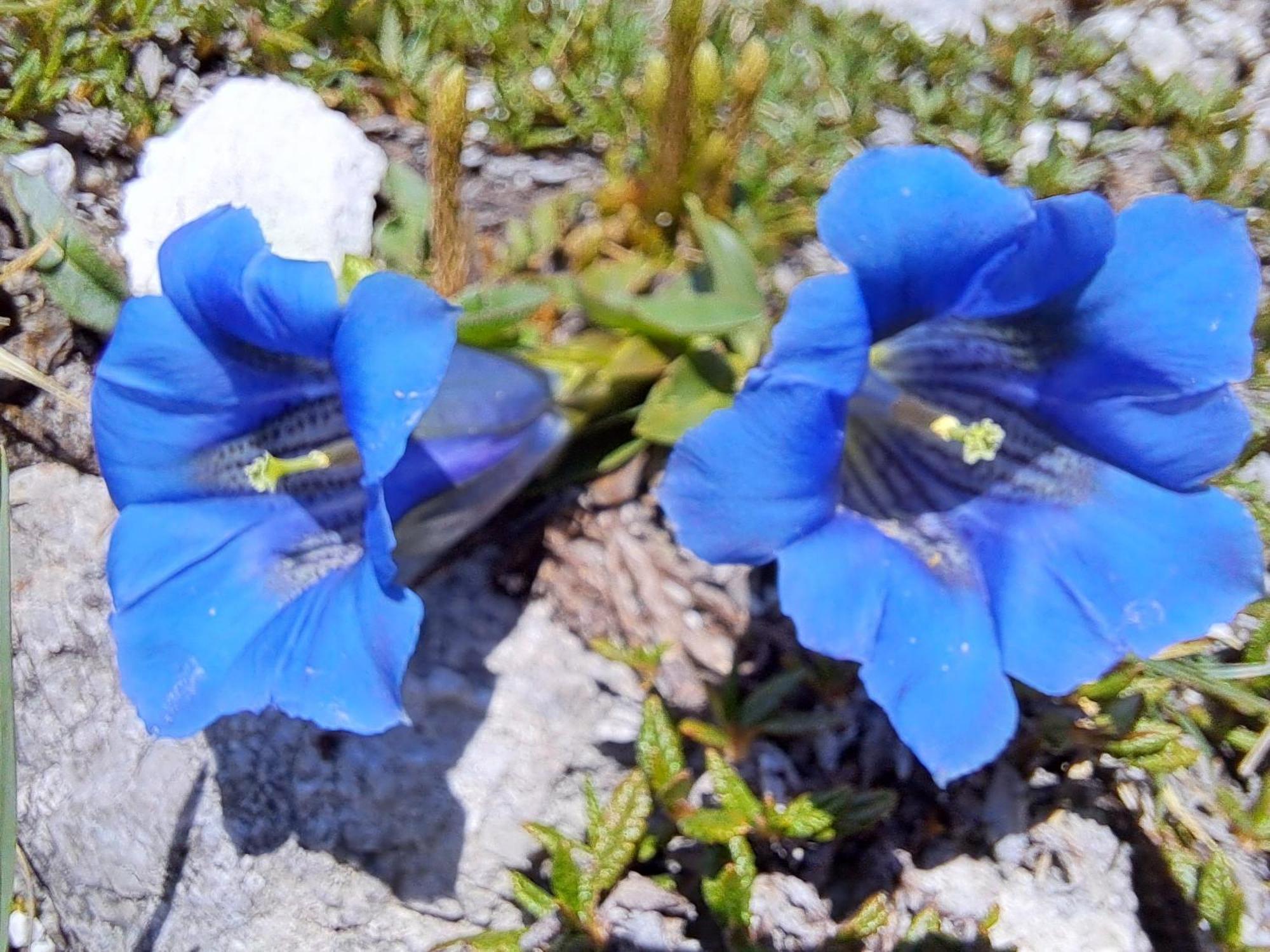 Ferienwohnung Jakob-Adults Only Neustift im Stubaital Exteriér fotografie