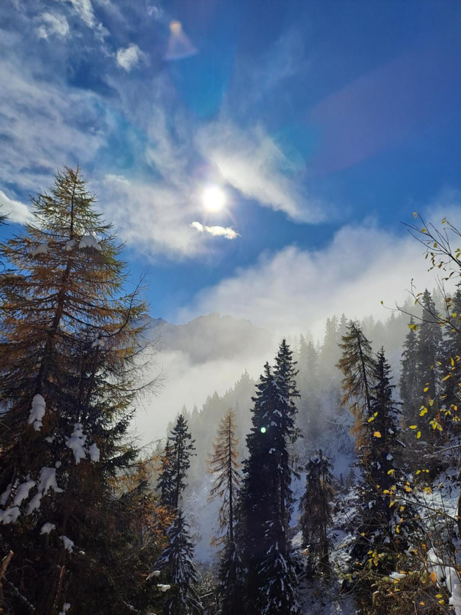 Ferienwohnung Jakob-Adults Only Neustift im Stubaital Exteriér fotografie