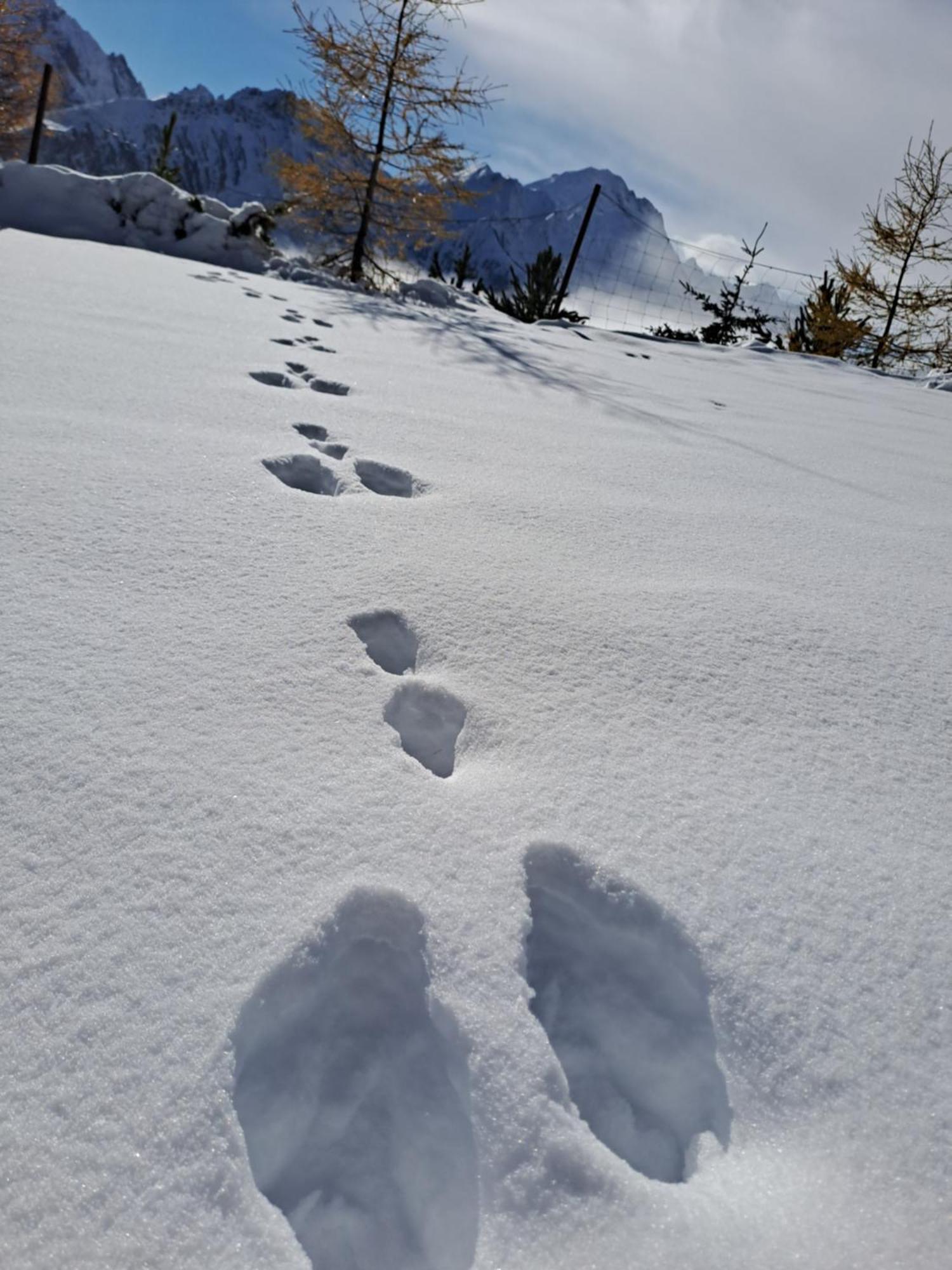 Ferienwohnung Jakob-Adults Only Neustift im Stubaital Exteriér fotografie